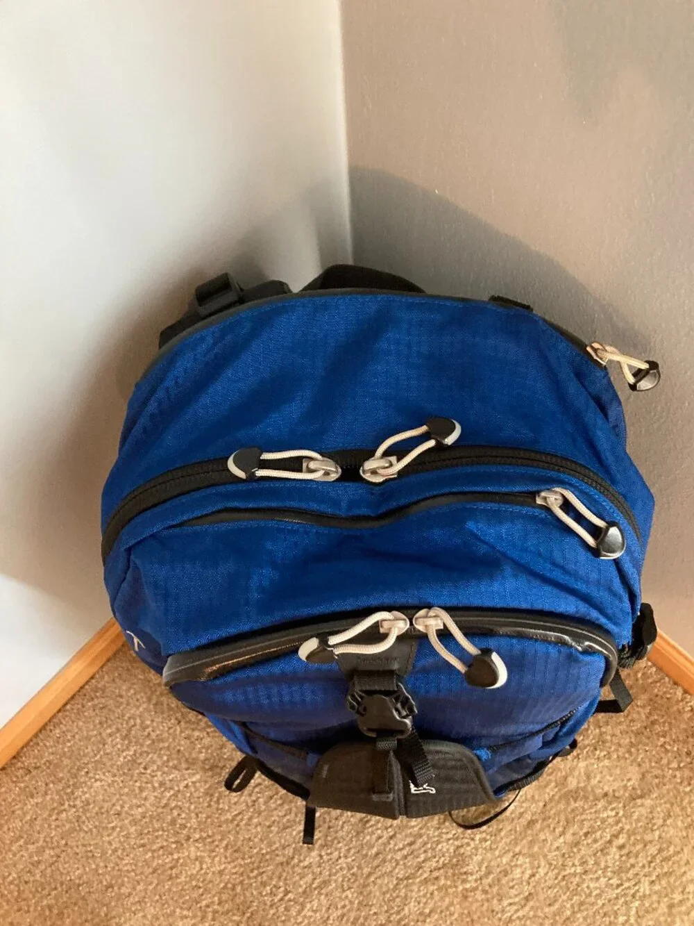 Vintage Jansport Large Hiking Backpack Blitz 20 Technical Backcountry H2O